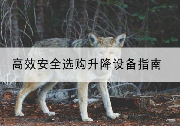保定升降货梯厂家推荐-*安全选购升降设备指南