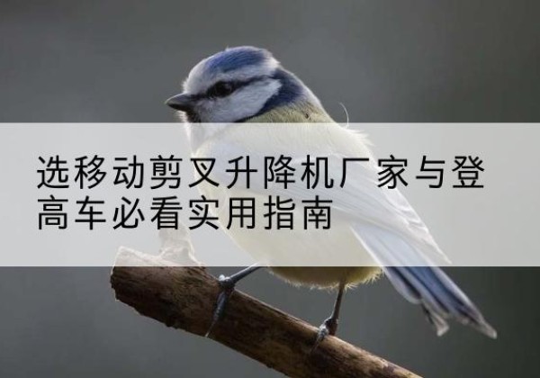 保定电动升降机厂家-选移动剪叉升降机厂家与登高车必看实用指南